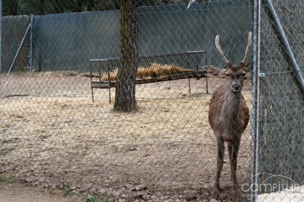 Parque y Reserva Las Quinientas